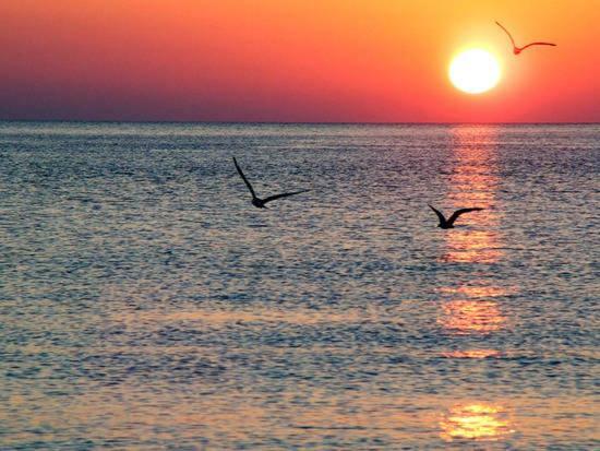شقة Stunning Sea View لقنت المظهر الخارجي الصورة